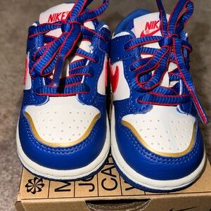 Gently worn toddler Nike Dunk Low